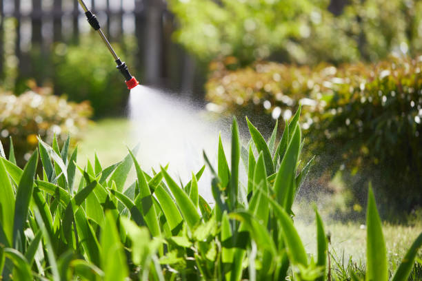 Tamper-Resistant Bait Stations for Rodents in Butler