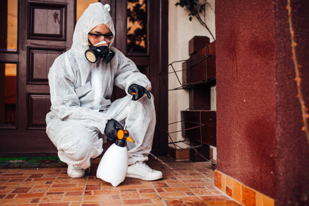 Attic and Crawl Space Rodent Treatment in Butler