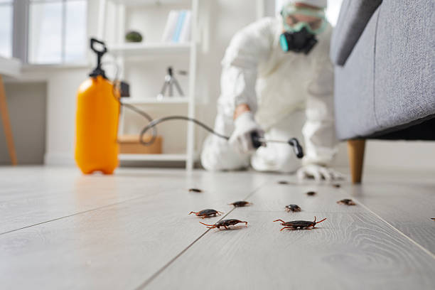 Commercial Rodent Management in Butler
